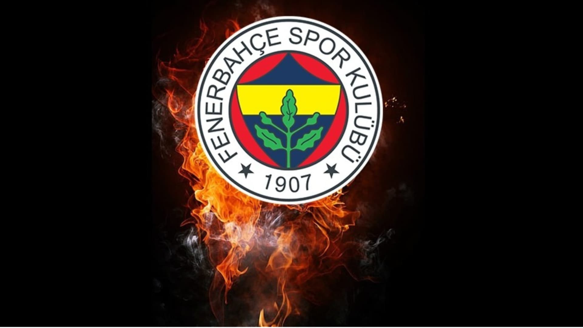 "Bu davranışlar cezasız kalmamalıdır!"