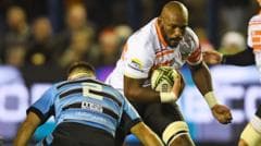 Cheetahs, Avrupa maçları için Swansea’deki St Helen’s Stadı’nı kullanacak
